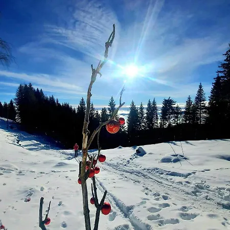 Golte Skicenter App Mountain View With Balcony *