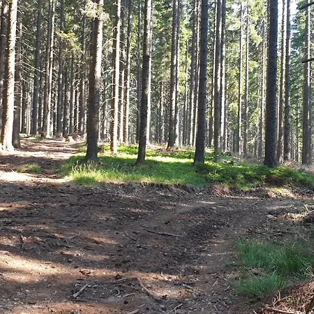 Golte Skicenter Mozirje