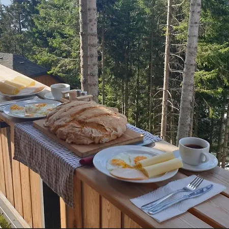 Golte Skicenter Mozirje