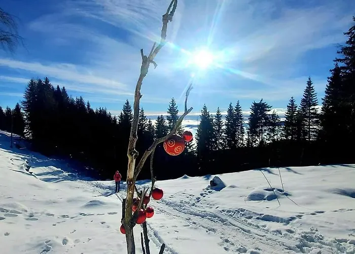 Golte Skicenter App Mountain View With Balcony *