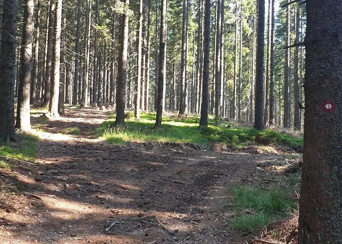 Golte Skicenter App Mountain View With Balcony Mozirje