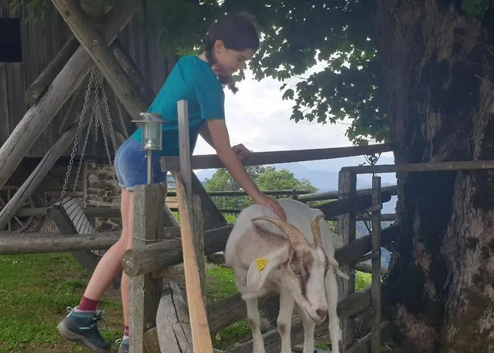 Golte Skicenter App Mountain View With Balcony Appartamento Mozirje