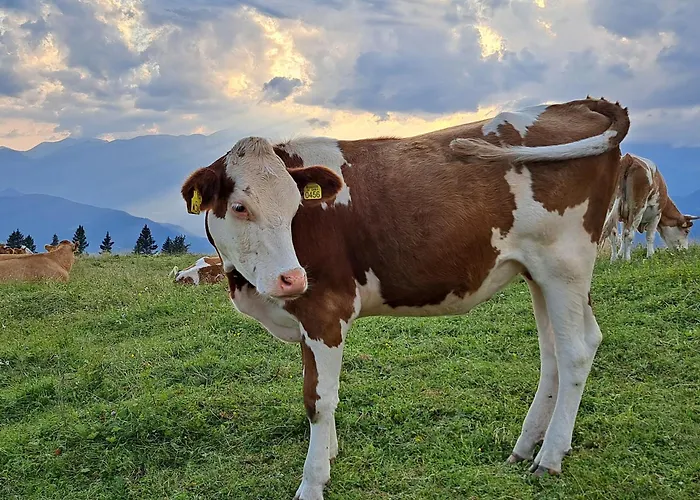 Appartamento Golte Skicenter App Mountain View With Balcony Mozirje